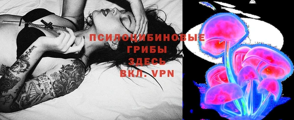 метадон Белокуриха