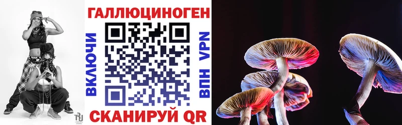 где можно купить наркотик  Пестово  Галлюциногенные грибы Psilocybine cubensis 